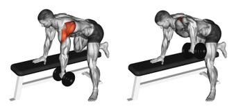 Exercising. Thrust dumbbells in the slope rear deltoid vector illustration Exercising. Thrust dumbbells in the slope rear deltoid vector illustration