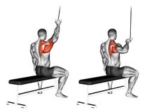 exercising Één overhandigd lat pulldown vector illustratie exercising Één overhandigd lat pulldown vector illustratie