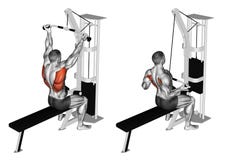 exercitar Pulldown reverso do lat do aperto ilustração royalty free exercitar Pulldown reverso do lat do aperto ilustração royalty free