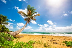 Exotic carribean shore of Puerto Rico Flamenco beach stock image Exotic carribean shore of Puerto Rico Flamenco beach stock image