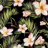 Exotic plumeria flowers and green palm leaves on black background. Seamless tropical pattern. Watercolor painting. vector illustration Exotic plumeria flowers and green palm leaves on black background. Seamless tropical pattern. Watercolor painting. vector illustration