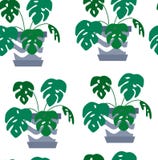 Exotic seamless pattern tropical houseplant in a flower pot. vector illustration Exotic seamless pattern tropical houseplant in a flower pot. vector illustration