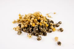 Exotic Tea Leaves Loose Stock Image Exotic Tea Leaves Loose Stock Image