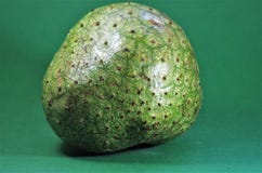 Exotische fruit van Guanabana het groene Honduras Royalty-vrije Stock Foto Exotische fruit van Guanabana het groene Honduras Royalty-vrije Stock Foto