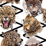Exotisches Muster des wilden Tieres des Leoparden in einer Aquarellart lizenzfreie abbildung Exotisches Muster des wilden Tieres des Leoparden in einer Aquarellart lizenzfreie abbildung