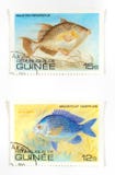 exotiska fiskstämplar royaltyfria bilder exotiska fiskstämplar royaltyfria bilder