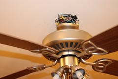 Exposed Ceiling Fan Wires Closeup Stock Image Image Of