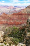 Exposed layers of geologial strata in the Grand Canyon with mesas in the background and rocks and a pine tree in the foreground royalty free stock photo Exposed layers of geologial strata in the Grand Canyon with mesas in the background and rocks and a pine tree in the foreground royalty free stock photo