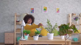 Expressive dancing positive Beautiful african american woman with an afro hairstyle takes care of flowers and plants in stock footage Expressive dancing positive Beautiful african american woman with an afro hairstyle takes care of flowers and plants in stock footage
