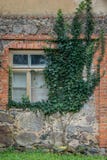 Exterior de una casa vieja de la piedra y del ladrillo con el marco de ventana del vintage, cubierto con la planta de la enredade imágenes de archivo libres de regalías Exterior de una casa vieja de la piedra y del ladrillo con el marco de ventana del vintage, cubierto con la planta de la enredade imágenes de archivo libres de regalías