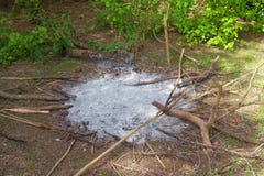 Extinguished campfire at a clean lawn royalty free stock photo Extinguished campfire at a clean lawn royalty free stock photo