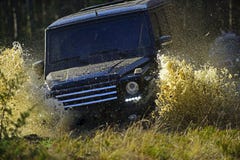 Extrem, Herausforderung und Allradfahrzeugkonzept Autorennen im Herbstwaldrennen nicht für den Straßenverkehr auf Fallnaturhinter lizenzfreie stockfotografie Extrem, Herausforderung und Allradfahrzeugkonzept Autorennen im Herbstwaldrennen nicht für den Straßenverkehr auf Fallnaturhinter lizenzfreie stockfotografie