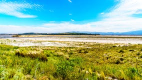 Extremadamente - nivel del agua baja en la presa de Theewaterkloof que es una fuente importante para el abastecimiento de agua a imagen de archivo libre de regalías Extremadamente - nivel del agua baja en la presa de Theewaterkloof que es una fuente importante para el abastecimiento de agua a imagen de archivo libre de regalías
