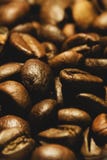 Extreme Close-Up Of Freshly Roasted Coffee Beans royalty free stock photography Extreme Close-Up Of Freshly Roasted Coffee Beans royalty free stock photography