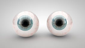 Eye on a white background vector illustration Eye on a white background vector illustration