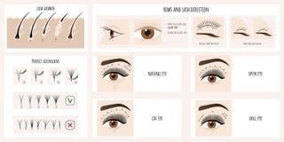 Eyelash growth, eyelash extensions types and styles. Illustration with instructions and guides for lash masters.