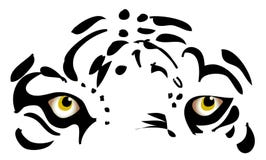 eyes tigern Arkivfoton eyes tigern Arkivfoton