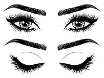 Eyes With Long Eyelashes And Brows Royalty Free Stock Photos