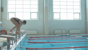 Żeńska pływaczka skacze z zaczyna bloku i początek pływa w basenu HD zwolnionego tempa wideo Fachowy atlety szkolenie zdjęcie wideo Żeńska pływaczka skacze z zaczyna bloku i początek pływa w basenu HD zwolnionego tempa wideo Fachowy atlety szkolenie zdjęcie wideo