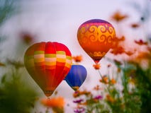F?rgglade ballonger f?r varm luft som flyger p? Singh Park i Chiang Rai arkivbild F?rgglade ballonger f?r varm luft som flyger p? Singh Park i Chiang Rai arkivbild