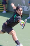 Fabio Fognini en el BNP 2010 Paribas abierto imagen de archivo libre de regalías Fabio Fognini en el BNP 2010 Paribas abierto imagen de archivo libre de regalías