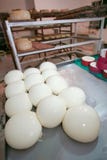 Fabrication du fromage artisanal photo stock Fabrication du fromage artisanal photo stock