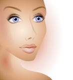 Face natural da mulher bonita ilustração stock Face natural da mulher bonita ilustração stock