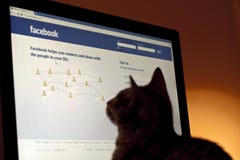facebook zwierzęcia domowego profil facebook zwierzęcia domowego profil