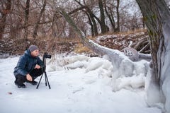Fachmann auf dem See Naturphotograph macht Fotos lizenzfreie stockbilder Fachmann auf dem See Naturphotograph macht Fotos lizenzfreie stockbilder