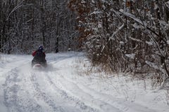 Fader och son som rider snövessla på nytt insnöat skogen royaltyfri fotografi Fader och son som rider snövessla på nytt insnöat skogen royaltyfri fotografi