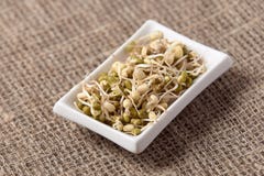 fagioli germogliati Cottura dell'alimento sano Zolla bianca Fondo neutrale Fotografie Stock fagioli germogliati Cottura dell'alimento sano Zolla bianca Fondo neutrale Fotografie Stock