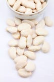 Fagioli spagnoli immagine stock libera da diritti Fagioli spagnoli immagine stock libera da diritti