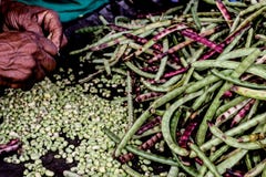 fagiolini che sono fotografia stock libera da diritti fagiolini che sono fotografia stock libera da diritti