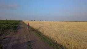 Fahrradreise auf den Gebieten stock video Fahrradreise auf den Gebieten stock video