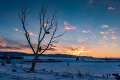 Fairytale mermaid sitting on a tree where a chest hangs and a cat guards them in the winter at sunset, Altai, Russia stock photos Fairytale mermaid sitting on a tree where a chest hangs and a cat guards them in the winter at sunset, Altai, Russia stock photos