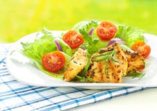 Faixa grelhada do peito de frango com salada fresca da mola imagens de stock royalty free Faixa grelhada do peito de frango com salada fresca da mola imagens de stock royalty free