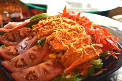Fajitas de poulet au-dessus d'une literie de salade images stock Fajitas de poulet au-dessus d'une literie de salade images stock