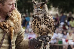 Falconiere nel paese con un predatore a disposizione 9 luglio 2011, CESKY RUDOLEC Repubblica ceca fotografie stock Falconiere nel paese con un predatore a disposizione 9 luglio 2011, CESKY RUDOLEC Repubblica ceca fotografie stock