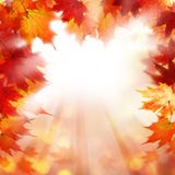 Fall Background With Autumn Maple Leaves Stock Photo