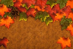 Fall-Blätter Fall-Blätter