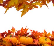 Fall-Blätter Fall-Blätter