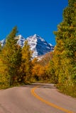 Fall Color in Aspen Colorado royalty free stock photography Fall Color in Aspen Colorado royalty free stock photography