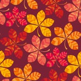 Fall Colored Wallpaper Vector Illustration. Wrapping Paper Motif Seamless Pattern. Stock Photography