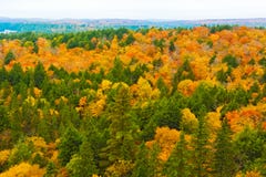 Fall Colors Algonquin Park, Ontario, Canada. Royalty Free Stock Photos