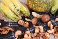 Fall composition for thanksgiving day with corn,apple,mushrooms and pumpkin. royalty free stock image Fall composition for thanksgiving day with corn,apple,mushrooms and pumpkin. royalty free stock image