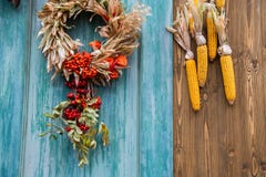 Fall composition for thanksgiving day with corns and wreath royalty free stock photography Fall composition for thanksgiving day with corns and wreath royalty free stock photography