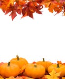 Fall Harvest Frame