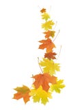 Fall Leaves Border Royalty Free Stock Image