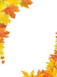 Fall Leaves Border Stock Photography