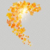 Fall maple leaves with delicate sun for decoration. Autumn leaves border template. Design element. EPS 10 royalty free illustration Fall maple leaves with delicate sun for decoration. Autumn leaves border template. Design element. EPS 10 royalty free illustration